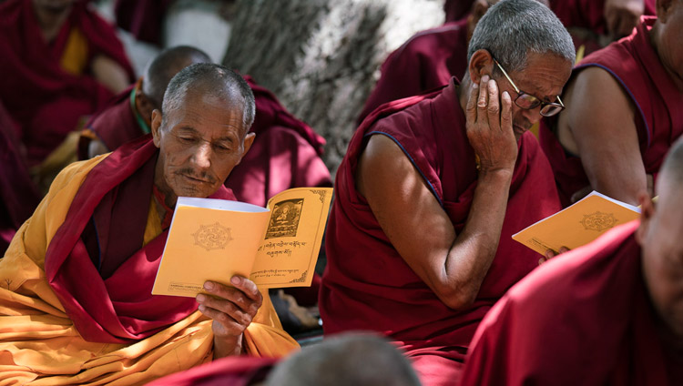 Монахи следят за текстом в ходе учений Его Святейшества Далай-ламы в монастыре Самтенлинг. Фото: Тензин Чойджор (офис ЕСДЛ)