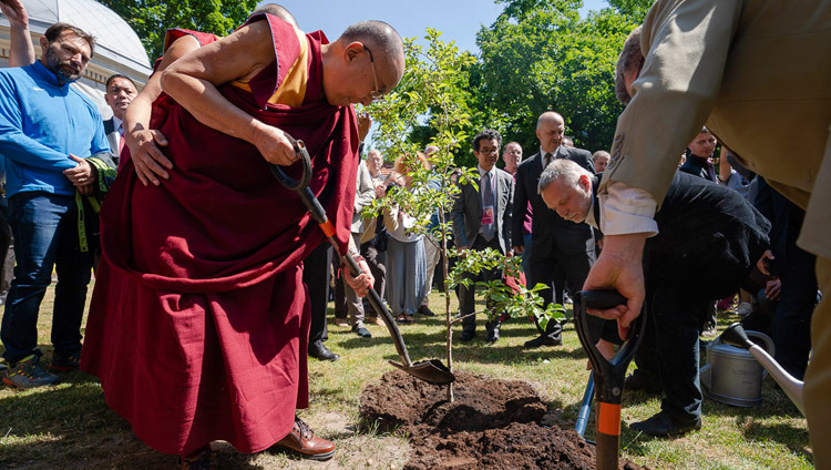 Его Святейшество Далай-лама высаживает молодое деревце на площади Тибета в знак дружбы между Тибетом и Литвой. Фото: Тензин Чойджор.