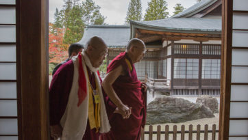 Ясный свет среди туманной мглы