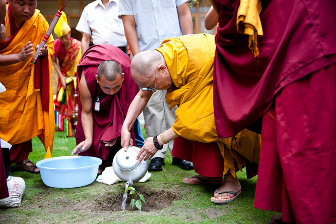 2010 08 16 10Kais Monaster10Y Dagpo Shedrupling Planting Sampling Of Bodhi Tree Brought From Bodhgaya