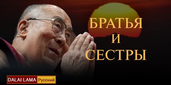 Братья и сестры