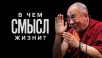 В чем смысл жизни?